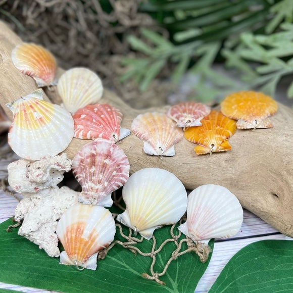 REAL Seashells Scallop Shells Pendants /Charms Lot with silver tone jump rings - Picture 15 of 16